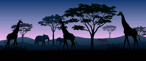 Illustration Des Animaux Silhouette Sur Les Savanes Dans Nuit — Image vectorielle