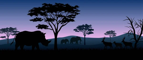 Illustration Von Silhouetten Tieren Auf Savannen Der Nacht — Stockvektor