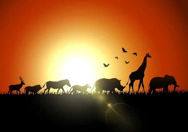 Illustrazione Vettoriale Degli Animali Silhouette Sulle Savane — Vettoriale Stock