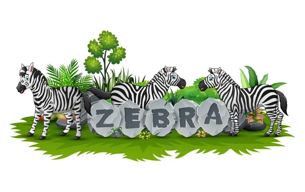 ภาพเวกเตอร ของ Zebra นในสวน — ภาพเวกเตอร์สต็อก