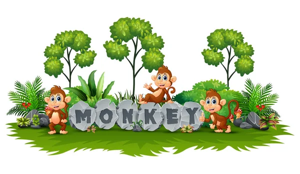 Ilustração Vetorial Macaco Está Brincando Jardim — Vetor de Stock