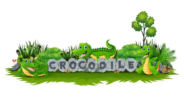 Векторні Ілюстрації Крокодила Грає Разом Саду — стоковий вектор