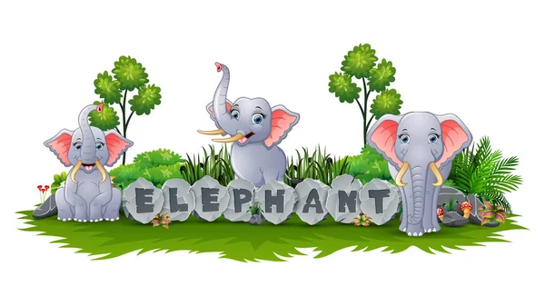 Vektorillustration Elefant Njuta Trädgården — Stock vektor