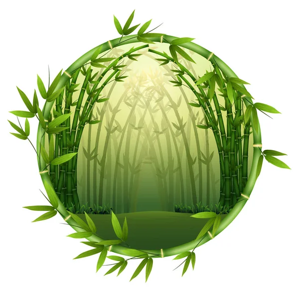 Vector Illustration Bamboo Trees Frame Nature — Stock Vector