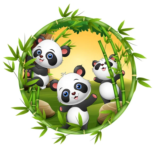 Vektor Illustration Von Drei Kleinen Panda Spielen Zusammen — Stockvektor