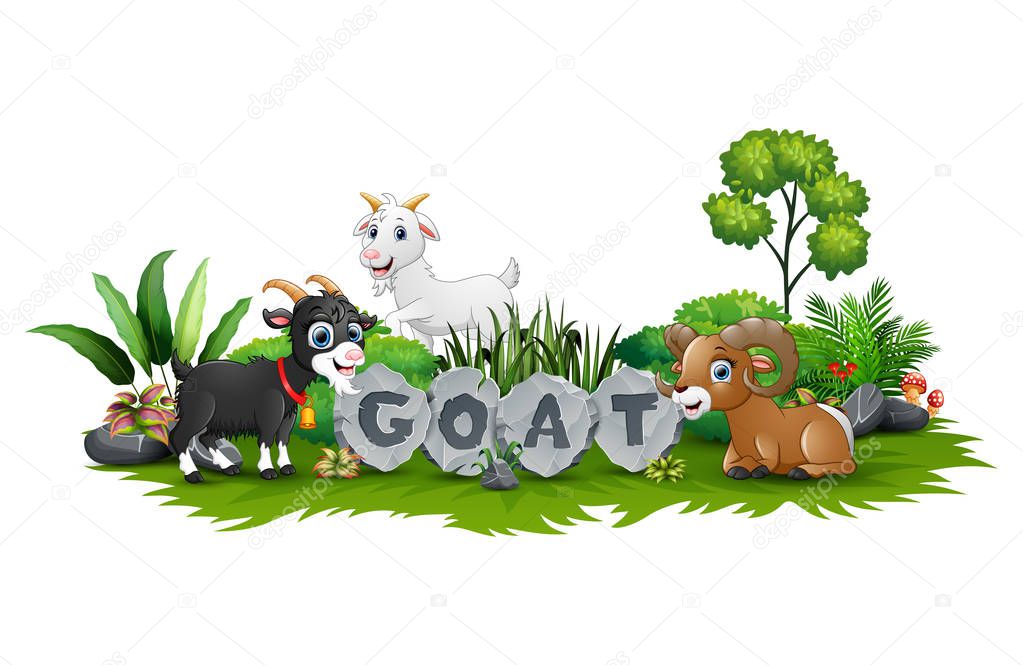 Vector illustration of Goat is playing in the garden