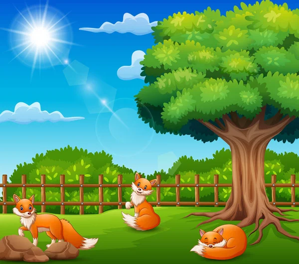 Ilustracja Wektorowa Foxs Cieszą Się Natura Koszykiem — Wektor stockowy