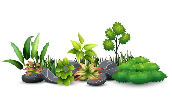 小さな緑の植物植物景観のベクトル イラスト — ストックベクタ