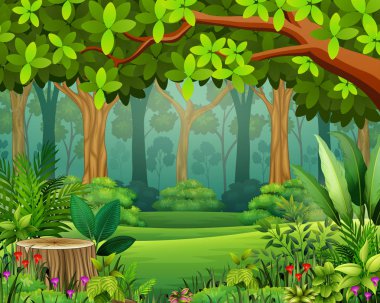Vektör çizim manzara orman karikatür yeşil bahar