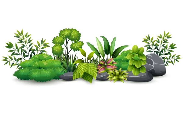 Ilustração Vetorial Paisagem Botânica Pequena Planta Verde — Vetor de Stock