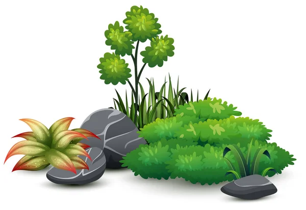 Illustrazione Vettoriale Piccolo Verde Vegetale Paesaggio Botanico — Vettoriale Stock