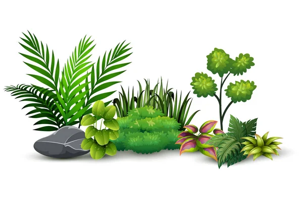 Vektor Ilustrasi Tanaman Hijau Kecil Botani Lanskap - Stok Vektor