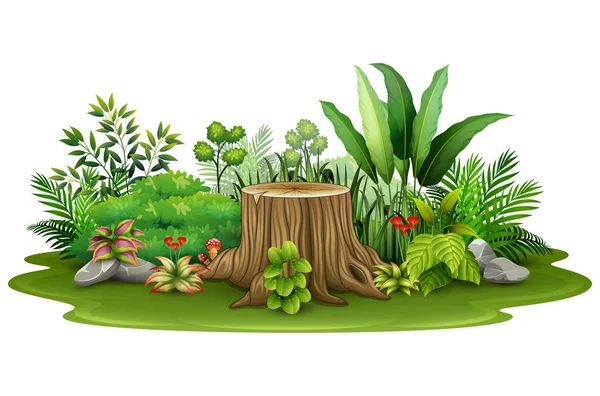 Vector Illustration Little Green Plant Botanical Landscape — Stock Vector