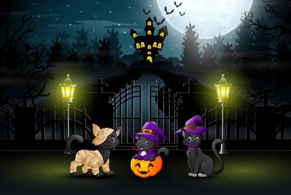 Tres Lindos Gatos Por Noche Fiestas Halloween — Vector de stock