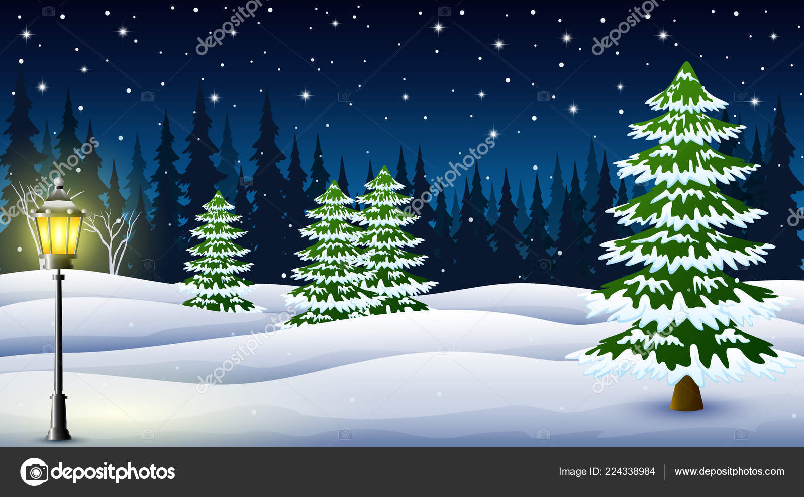 冬天夜背景的动画片与松树和路灯在晚上 图库矢量图像 C Dualoro