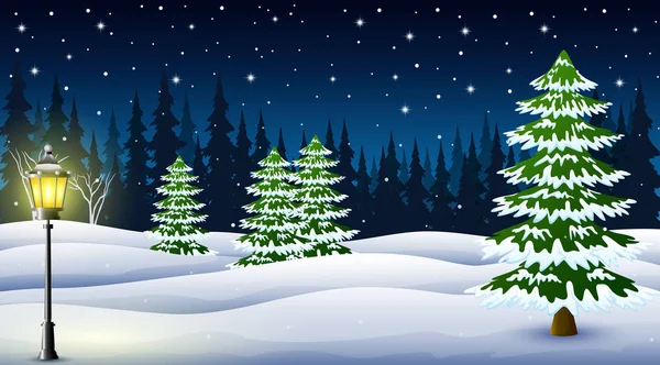 Cartoon Winter Night Background Pine Trees Street Lamp Night — Stock Vector