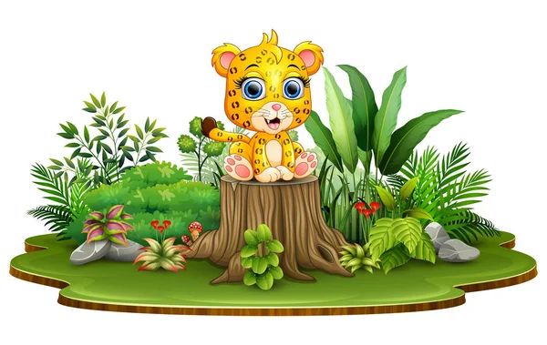 Dibujos Animados Leopardo Bebé Feliz Sentado Tocón Del Árbol Con — Vector de stock