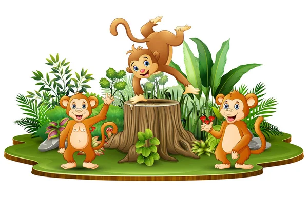 Grupo Macacos Felizes Com Plantas Verdes —  Vetores de Stock