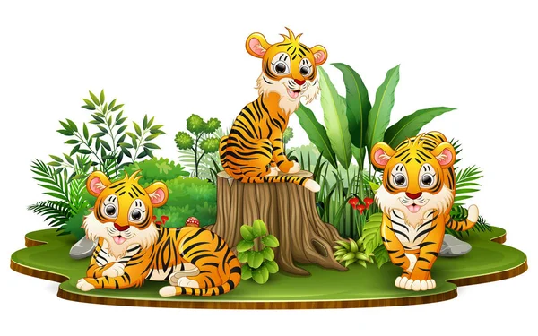 Groupe Dessin Animé Tigre Dans Parc Avec Des Plantes Vertes — Image vectorielle