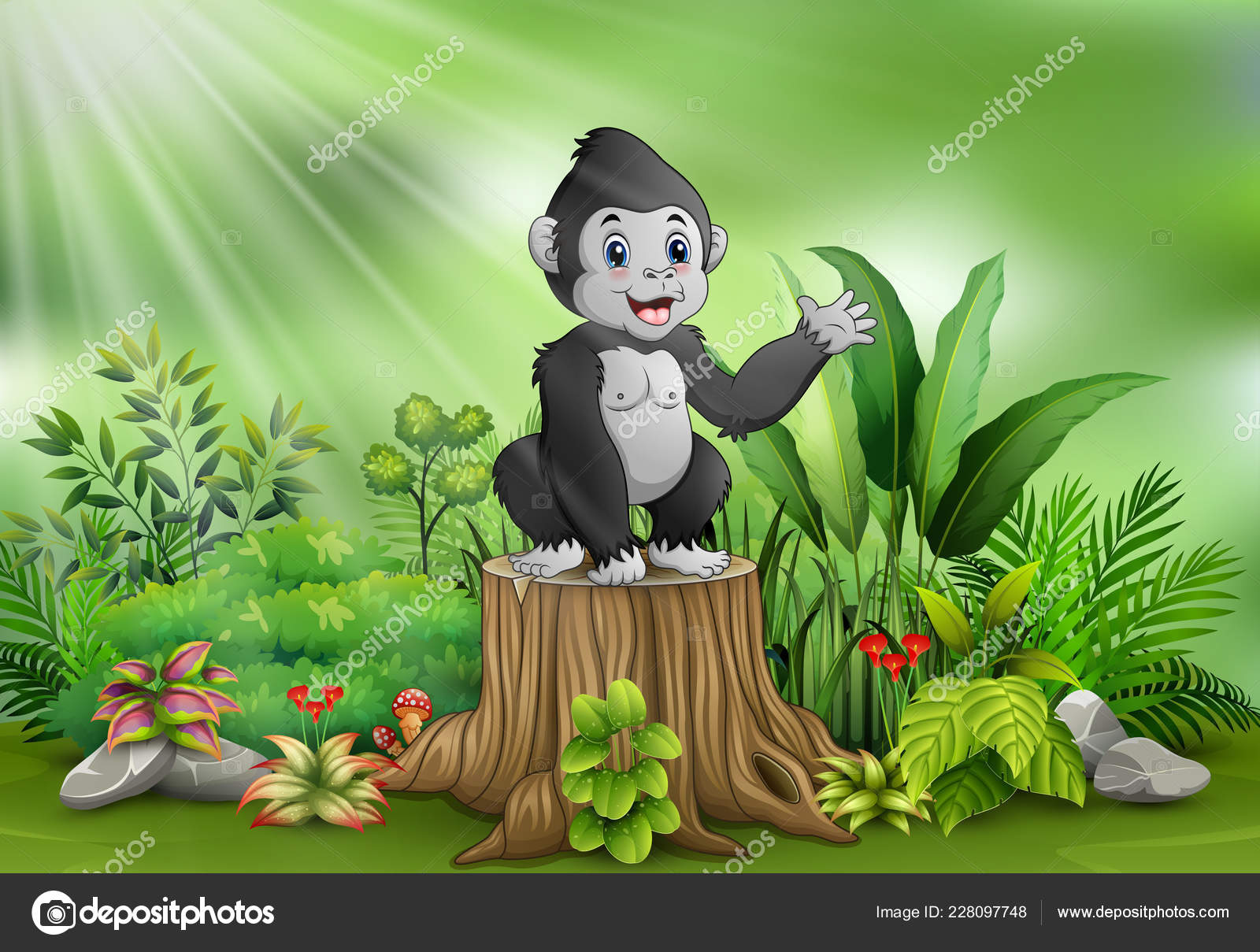 Cartoon baby gorilla Vector Art Stock Images | Depositphotos