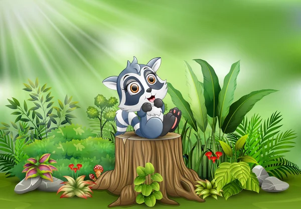 緑の植物と木の切り株に漫画幸せアライグマ — ストックベクタ
