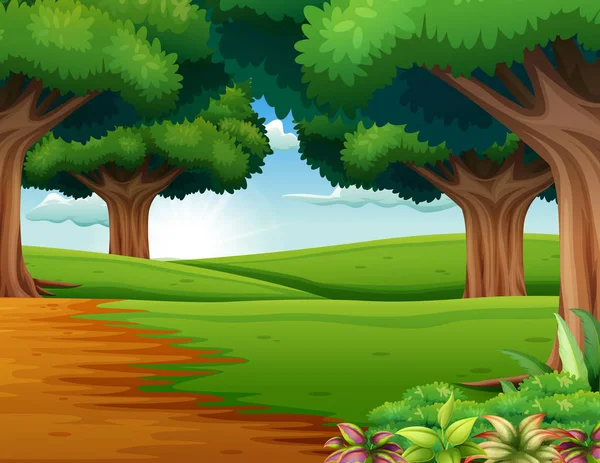Tecknad Skogen Scenen Med Många Träd — Stock vektor