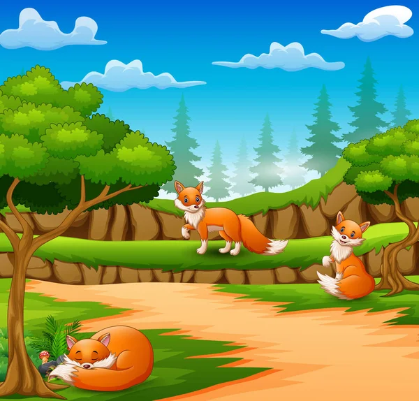 Szczęśliwy Trzy Fox Kreskówka Natura Sceny — Wektor stockowy