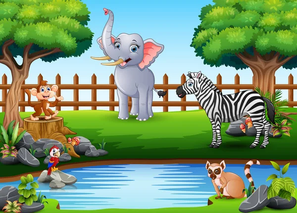 Animales Salvajes Jugando Borde Hermoso Pequeño Estanque — Vector de stock