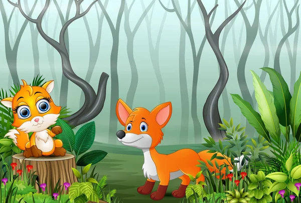 Δύο Αλεπούδες Παίζοντας Ομιχλώδες Δάσος Κινούμενα Σχέδια — Διανυσματικό Αρχείο