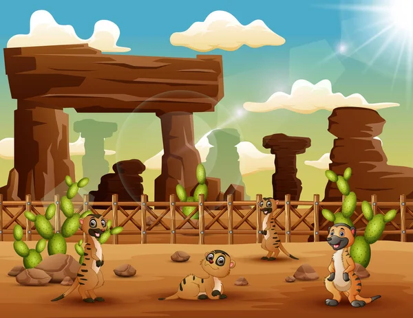 Cartoon Meerkats Godendo Sul Deserto — Vettoriale Stock