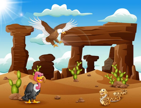 Cartoon Aquila Uccello Tacchino Serpente Che Vivono Nel Deserto — Vettoriale Stock