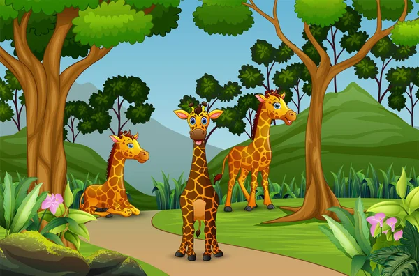 Group Giraffe Enjoying Forest — Stock Vector