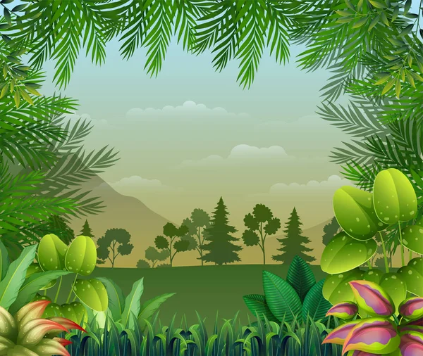 Tropischen Dschungel Hintergrund Mit Bäumen Und Blättern — Stockvektor