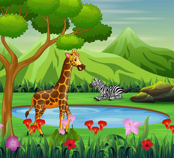 Cartoon Zebra Giraffe Wonen Buurt Van Watering Hole — Stockvector