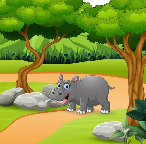 Hipopótamo Dibujos Animados Caminando Camino — Archivo Imágenes Vectoriales