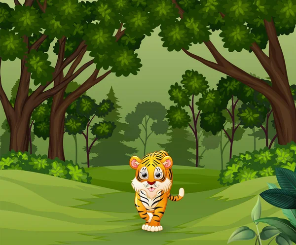 Tigre Asustadizo Salvaje Caminando Bosque — Vector de stock