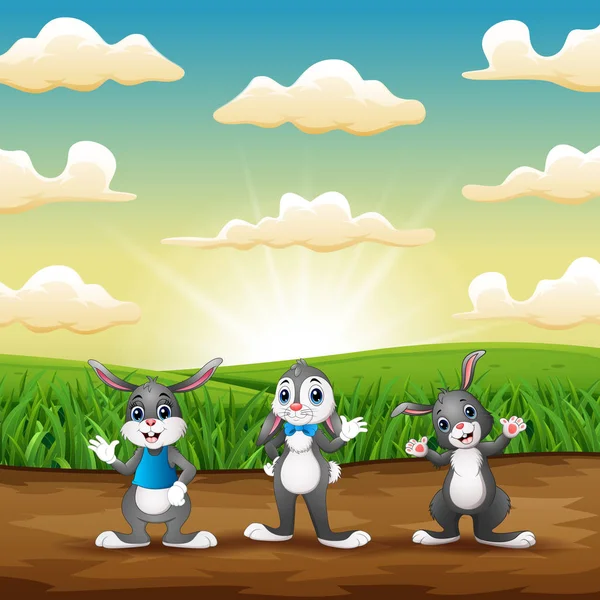 Tres Conejos Pie Campo Por Mañana — Vector de stock