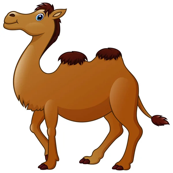 Bonito Desenho Animado Camelo — Vetor de Stock