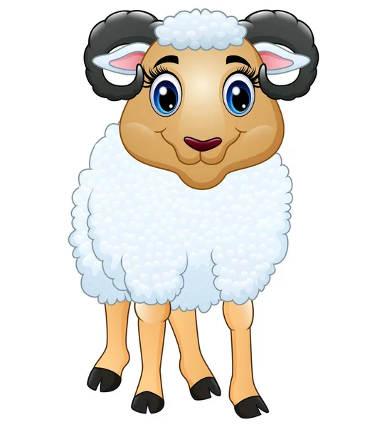 Ein Schönes Schaf Isoliert Auf Weißem Hintergrund — Stockvektor