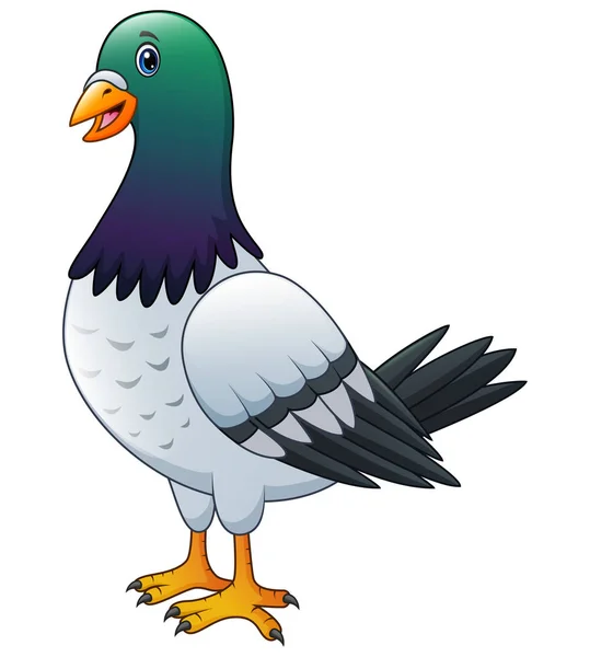 Dessin Animé Heureux Pigeon Isolé Sur Fond Blanc — Image vectorielle