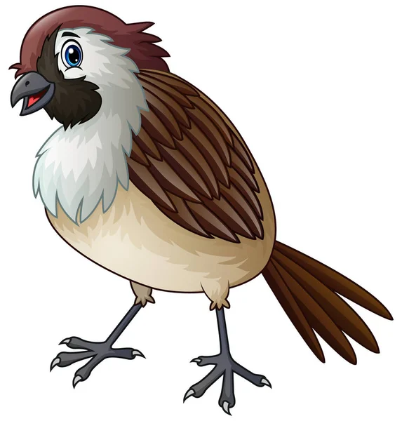 Divertente Passero Uccello Cartone Animato — Vettoriale Stock
