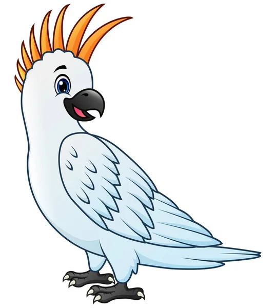 Ένα Πουλί Παπαγάλος Καρτούν — Διανυσματικό Αρχείο