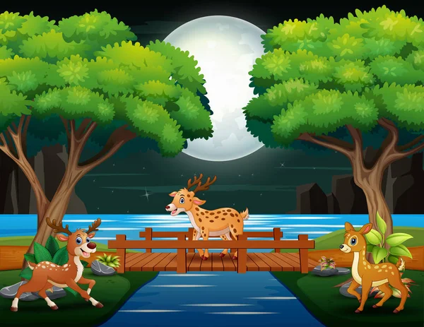 Deer Cartoons Playing Night Scene — Stock Vector