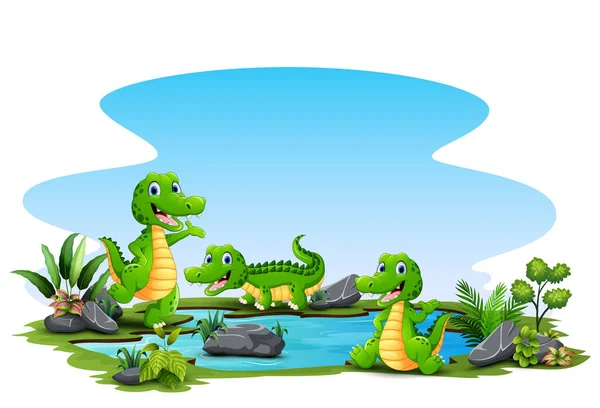 Desenhos Animados Três Crocodilo Torno Pequena Lagoa —  Vetores de Stock