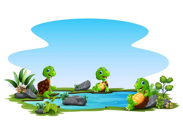 Desenhos Animados Três Tartaruga Relaxar Torno Pequena Lagoa —  Vetores de Stock