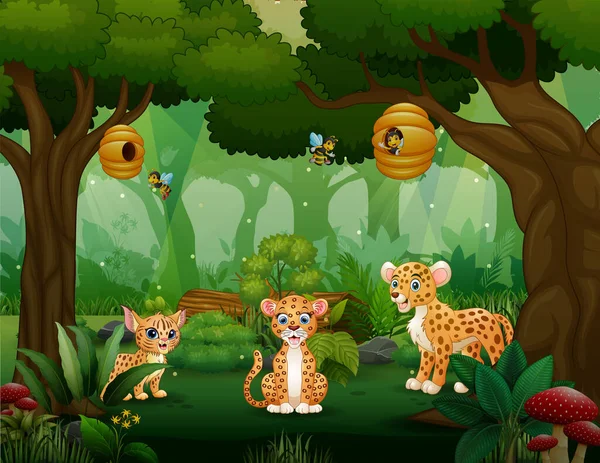 Família Leopardo Dos Desenhos Animados Brincando Meio Floresta —  Vetores de Stock