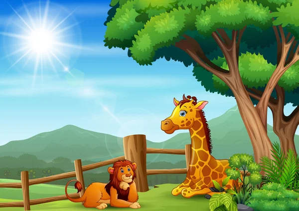 Giraffe Lion Sitting Enjoying Zoo — Stock Vector