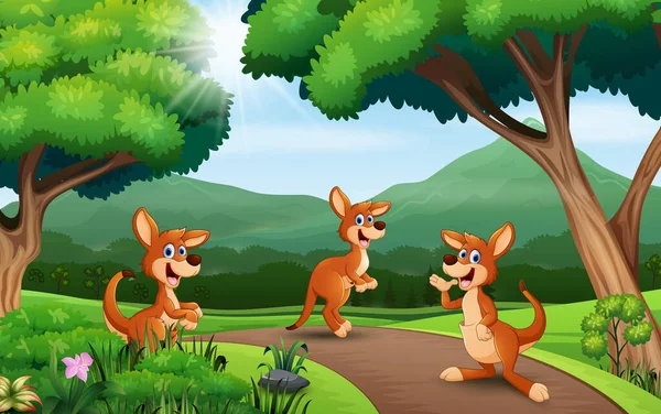 自然の中で遊ぶ漫画の3つのカンガルー — ストックベクタ