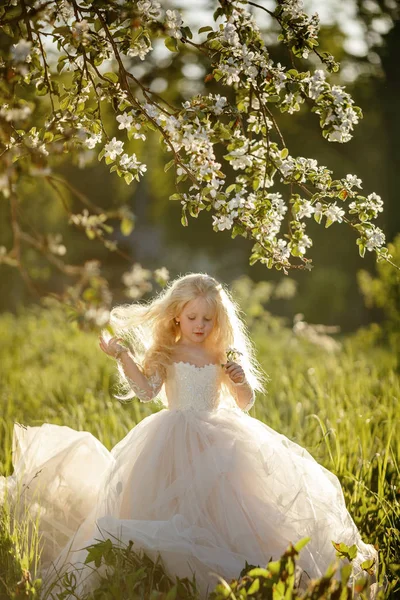 Маленька Дівчинка Білій Сукні Яблучному Парку Заході Сонця Дивиться Квіти — стокове фото
