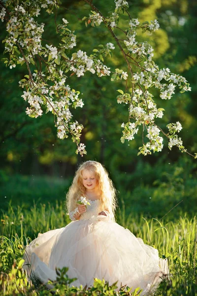 Маленька Дівчинка Білій Сукні Яблучному Парку Заході Сонця Дивиться Квіти — стокове фото